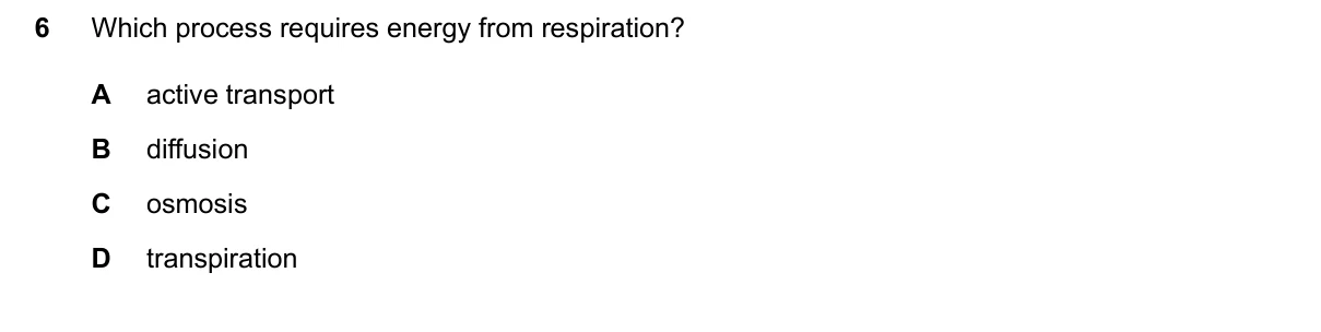 Question 6, June 2024, 0610 Paper 21