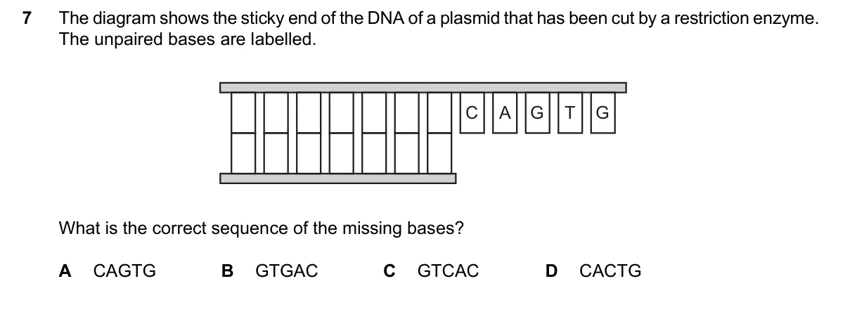Question 7, June 2024, 0610 Paper 21