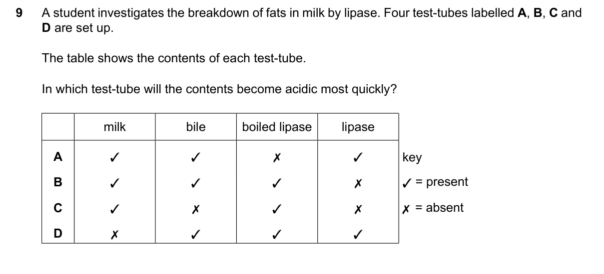 Question 9, June 2024, 0610 Paper 21