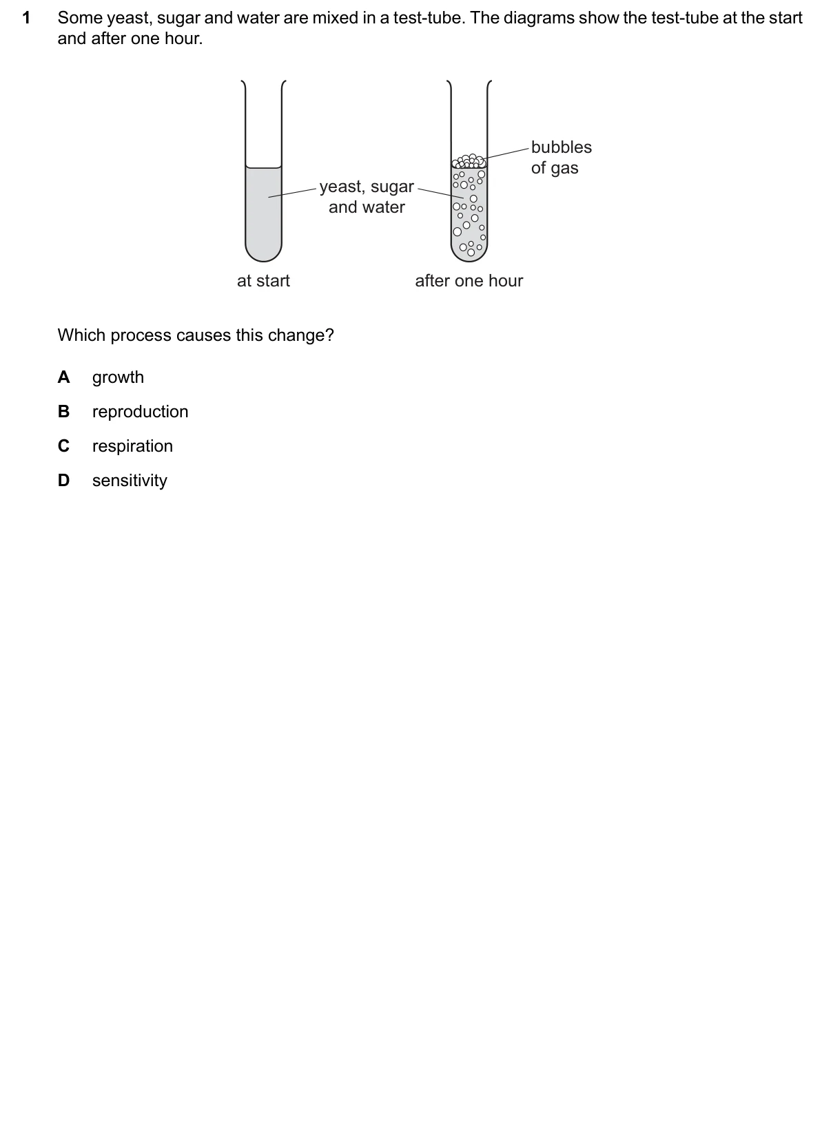 Question 1, June 2024, 0610 Paper 12
