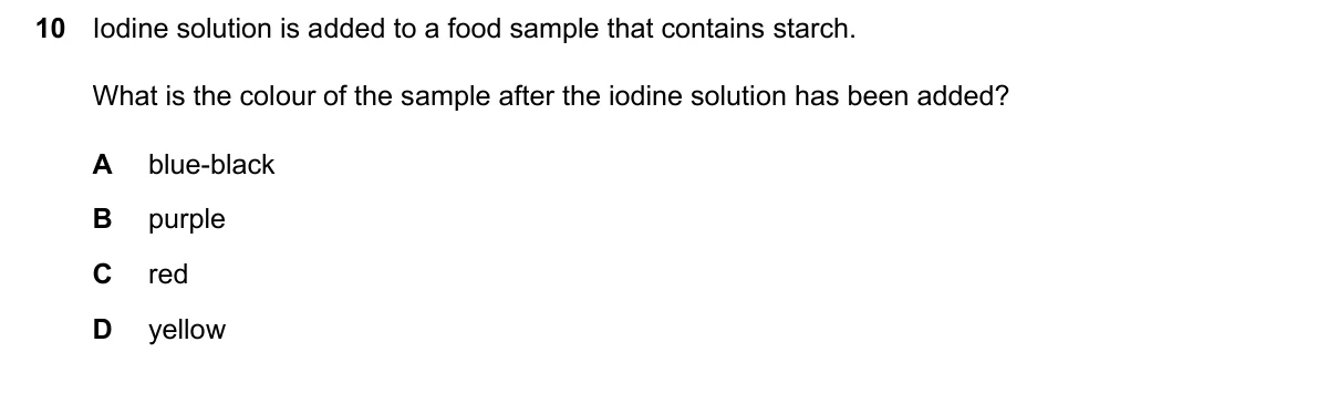 Question 10, June 2024, 0610 Paper 12