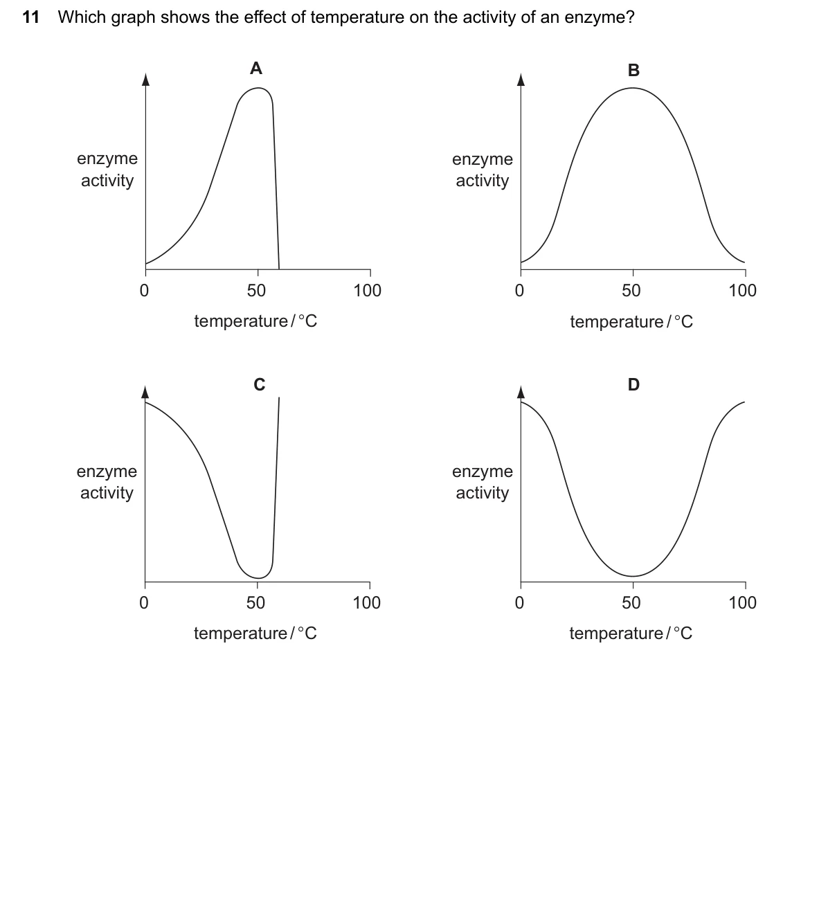 Question 11, June 2024, 0610 Paper 12