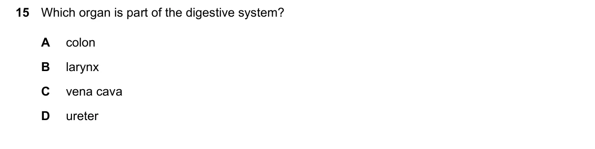 Question 15, June 2024, 0610 Paper 12