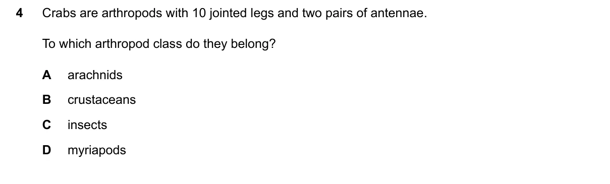 Question 4, June 2024, 0610 Paper 12