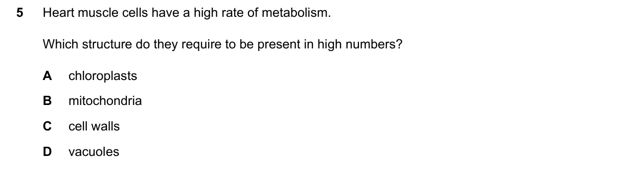 Question 5, June 2024, 0610 Paper 12