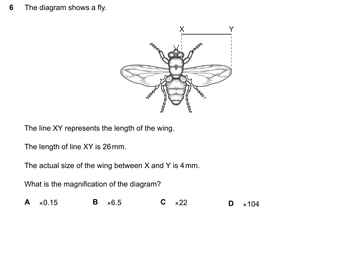 Question 6, June 2024, 0610 Paper 12