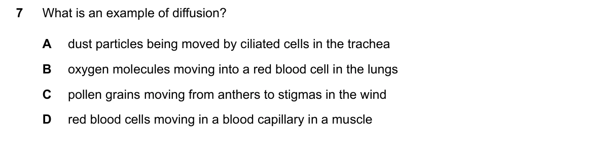 Question 7, June 2024, 0610 Paper 12
