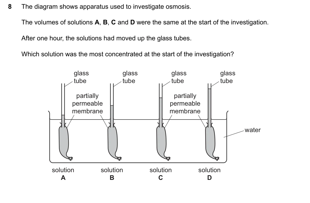 Question 8, June 2024, 0610 Paper 12