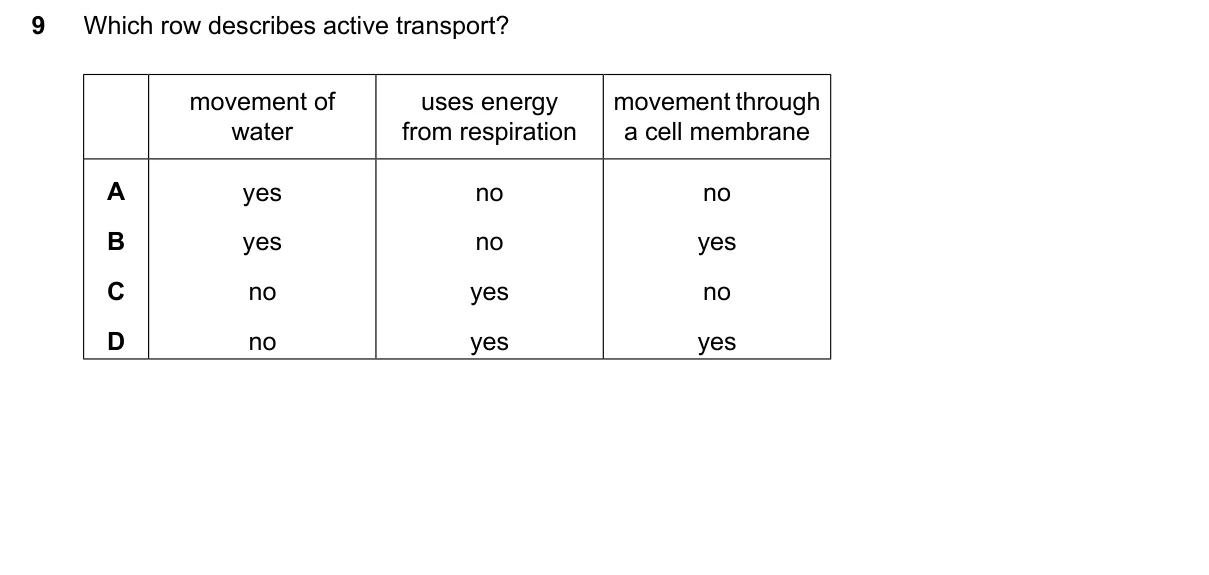 Question 9, June 2024, 0610 Paper 12