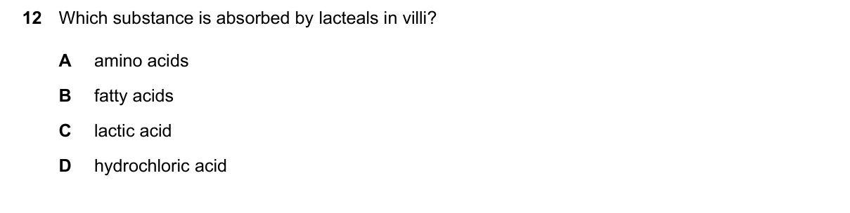 Question 12, June 2024, 0610 Paper 22