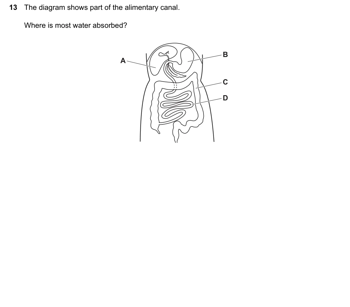 Question 13, June 2024, 0610 Paper 22