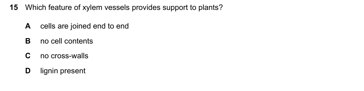 Question 15, June 2024, 0610 Paper 22