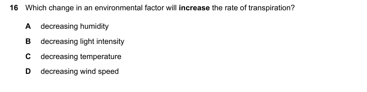 Question 16, June 2024, 0610 Paper 22