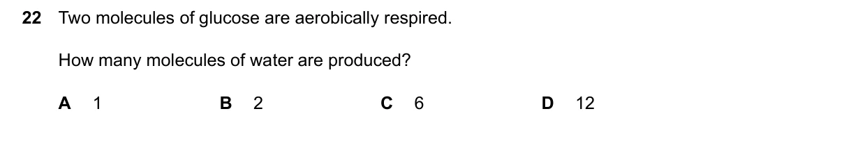 Question 22, June 2024, 0610 Paper 22