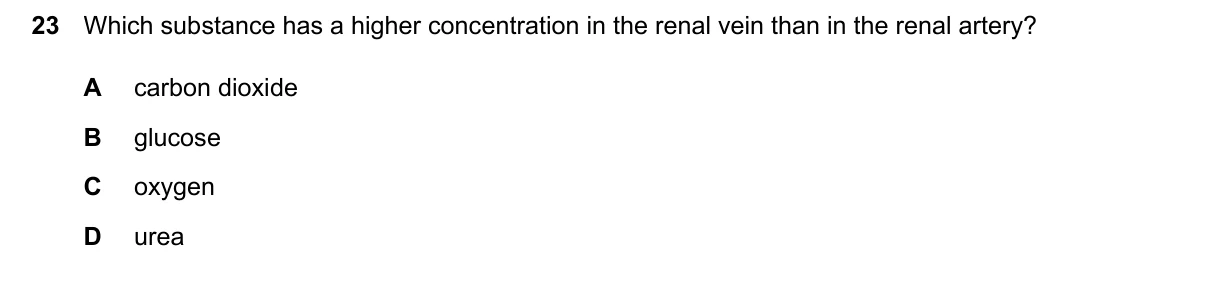 Question 23, June 2024, 0610 Paper 22