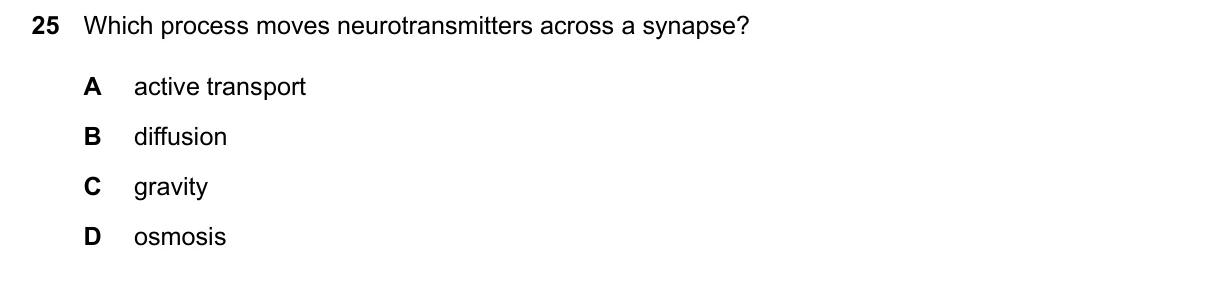 Question 25, June 2024, 0610 Paper 22