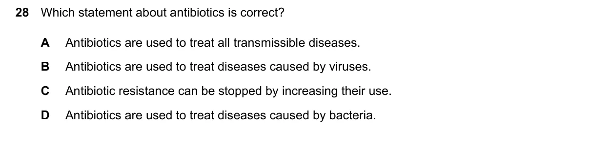 Question 28, June 2024, 0610 Paper 22