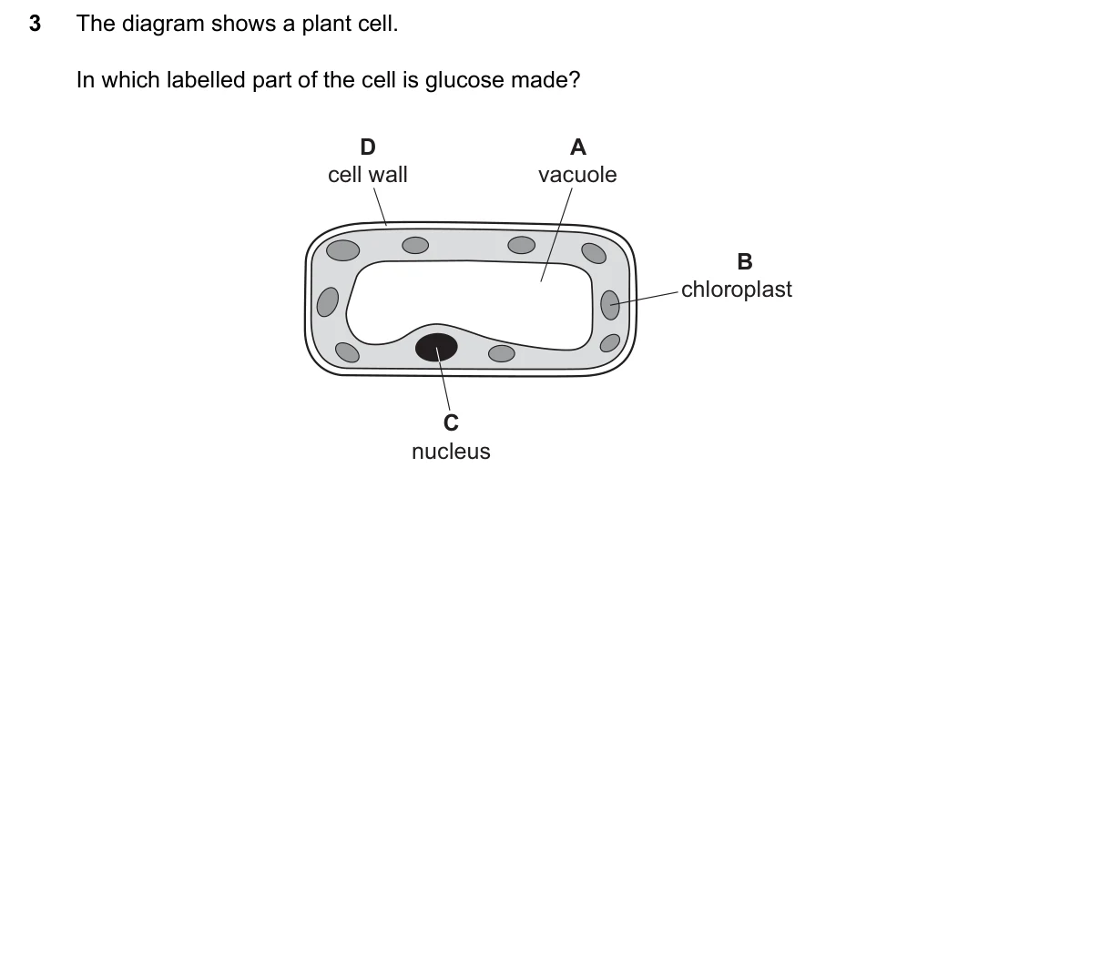 Question 3, June 2024, 0610 Paper 22