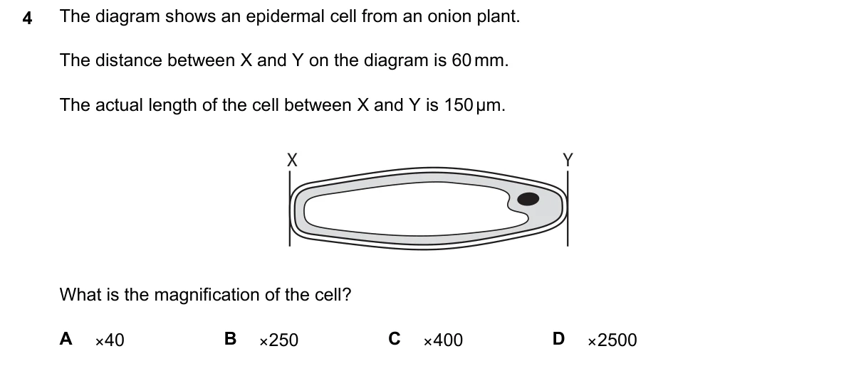Question 4, June 2024, 0610 Paper 22