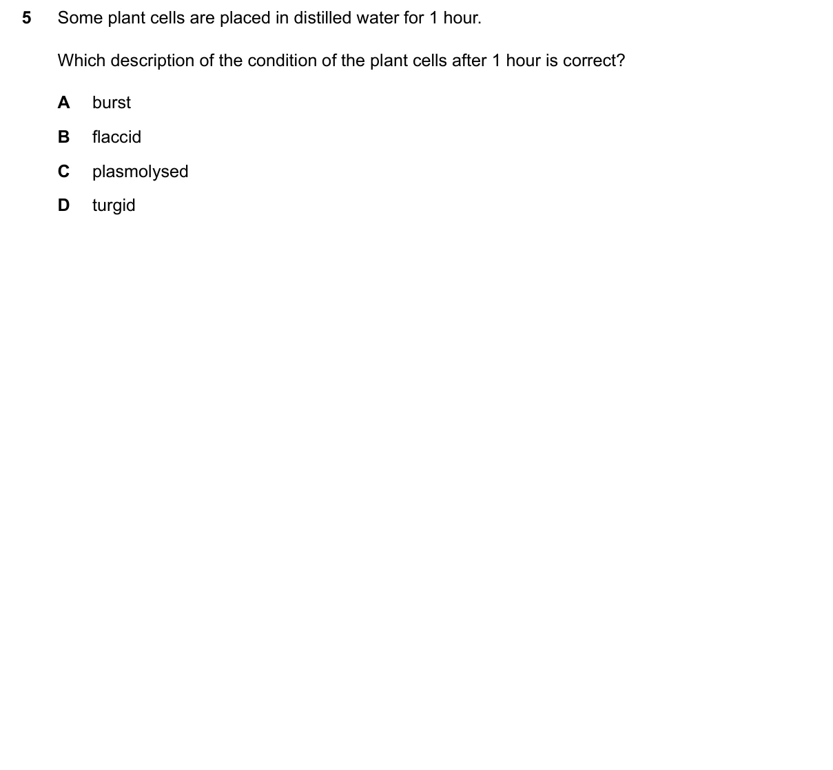 Question 5, June 2024, 0610 Paper 22