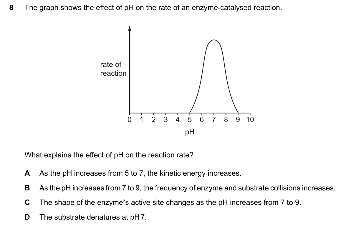 Question 8, June 2024, 0610 Paper 22