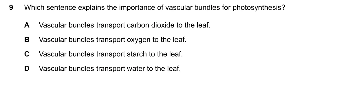 Question 9, June 2024, 0610 Paper 22