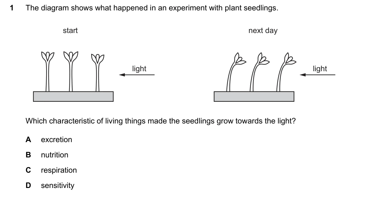 Question 1, June 2024, 0610 Paper 13