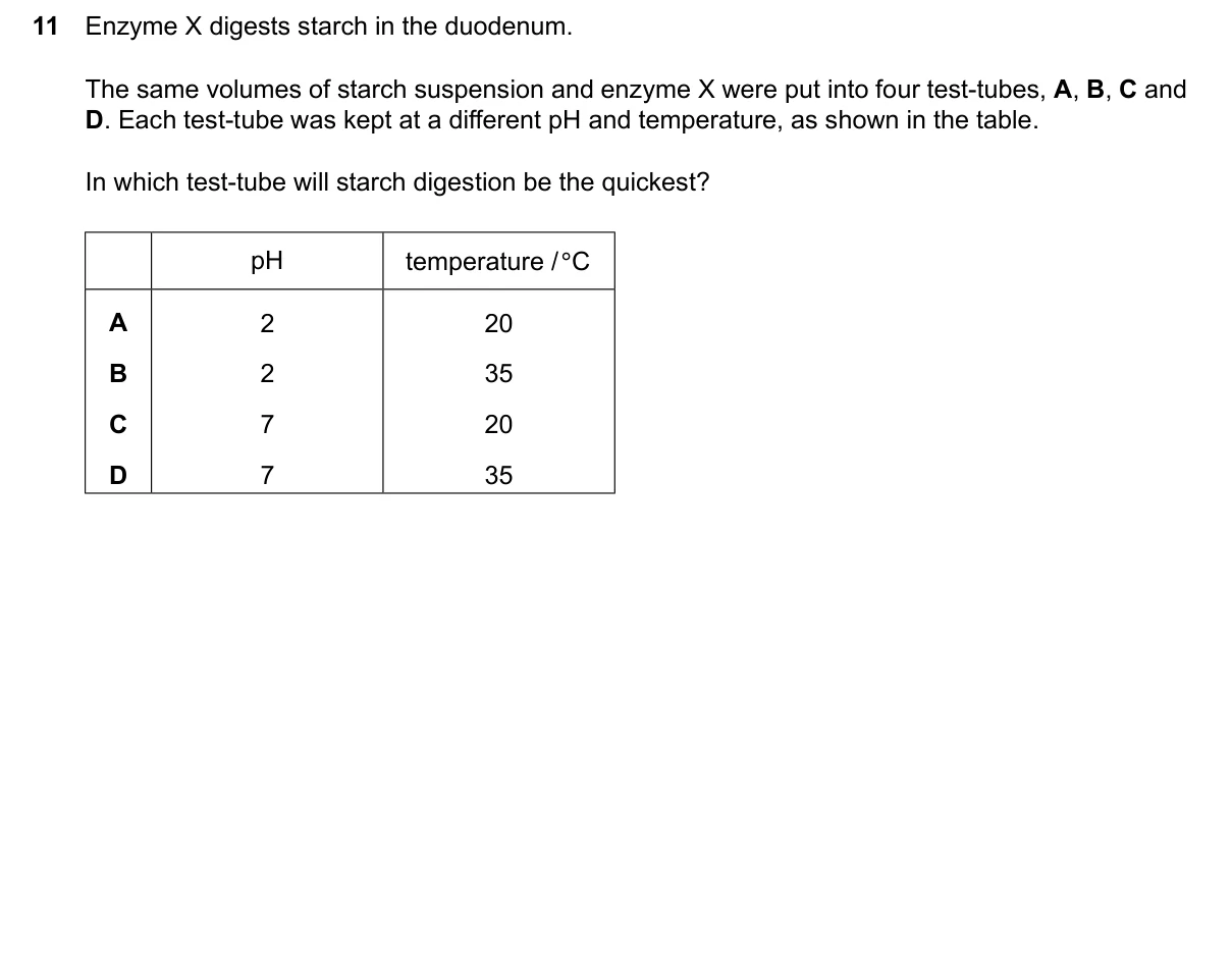 Question 11, June 2024, 0610 Paper 13
