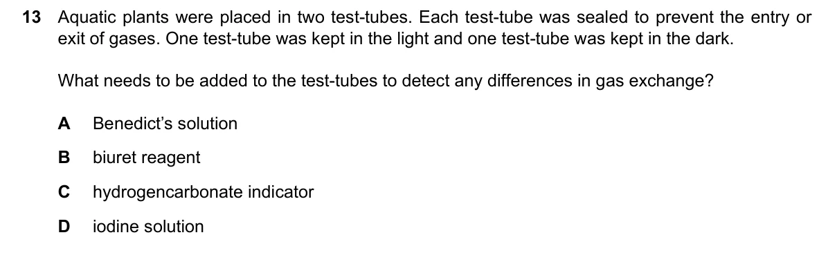Question 13, June 2024, 0610 Paper 13