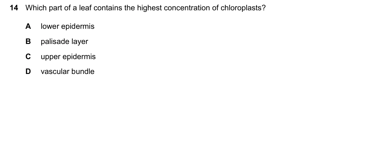 Question 14, June 2024, 0610 Paper 13