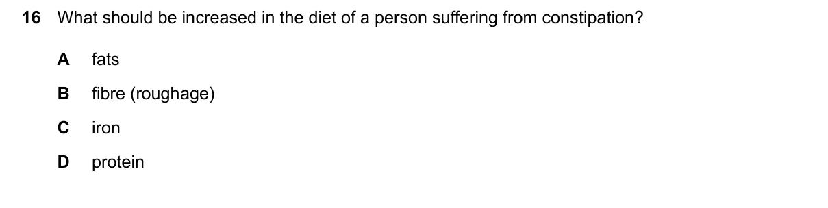 Question 16, June 2024, 0610 Paper 13