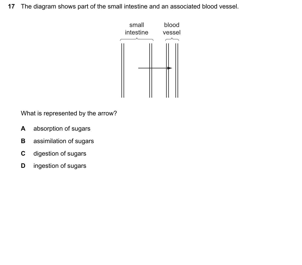 Question 17, June 2024, 0610 Paper 13