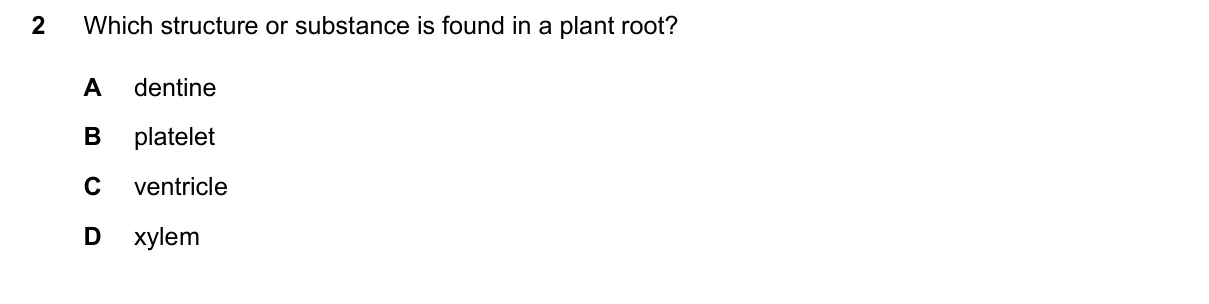 Question 2, June 2024, 0610 Paper 13