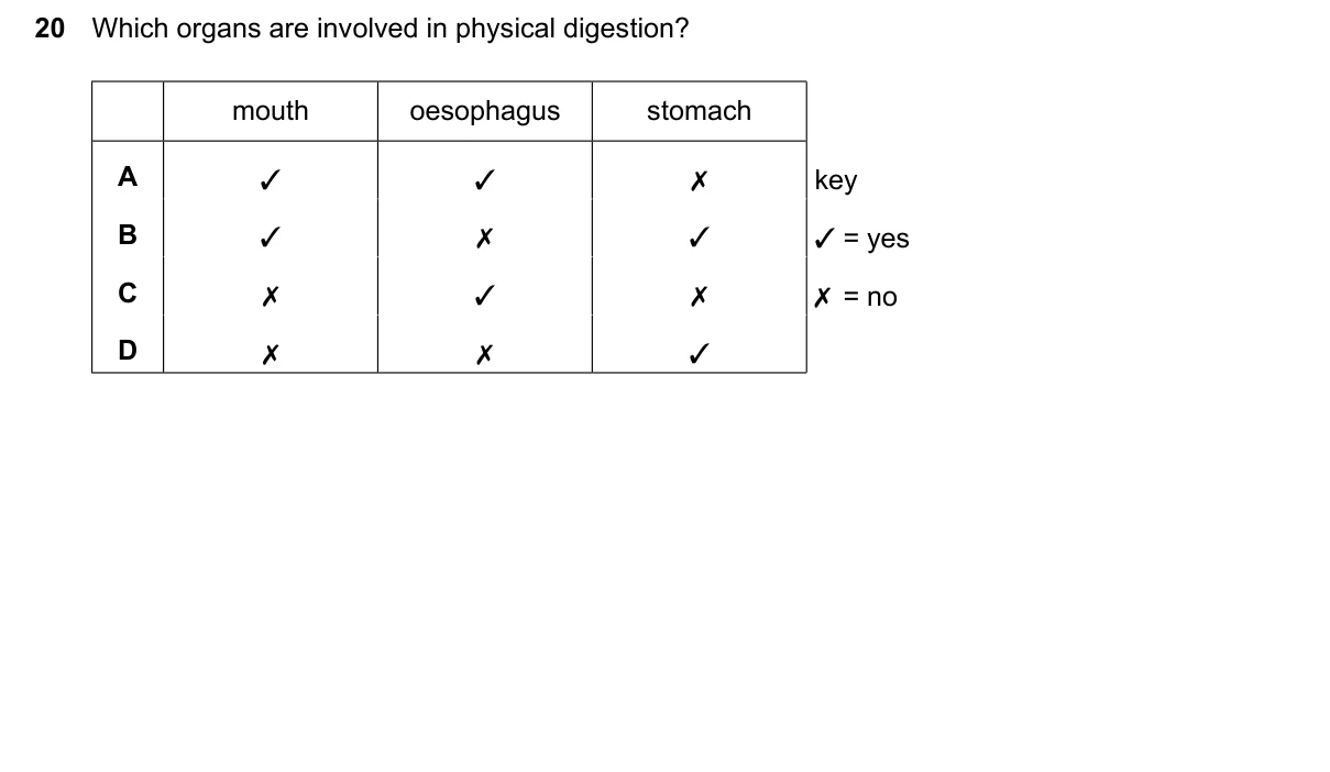 Question 20, June 2024, 0610 Paper 13
