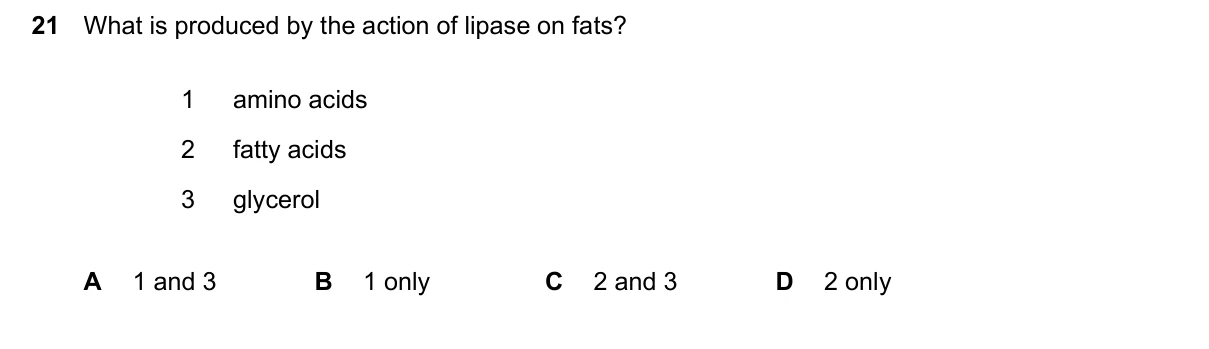 Question 21, June 2024, 0610 Paper 13