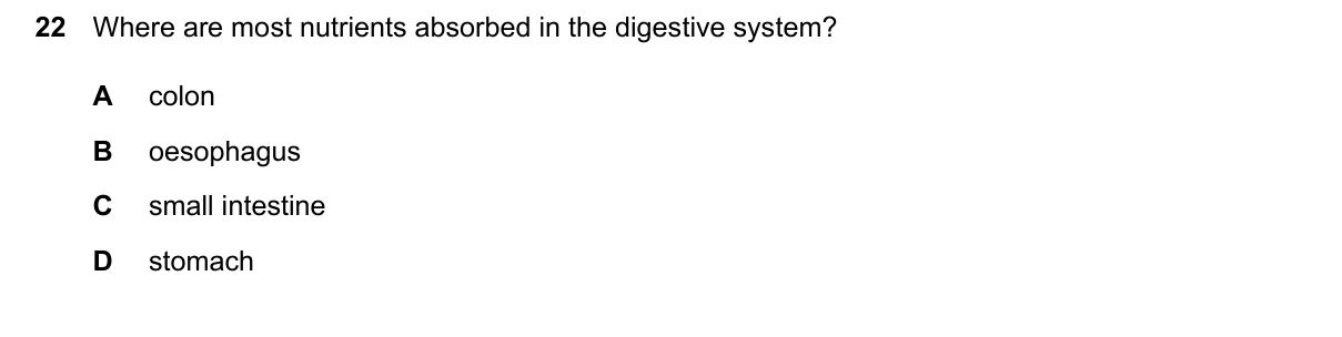 Question 22, June 2024, 0610 Paper 13