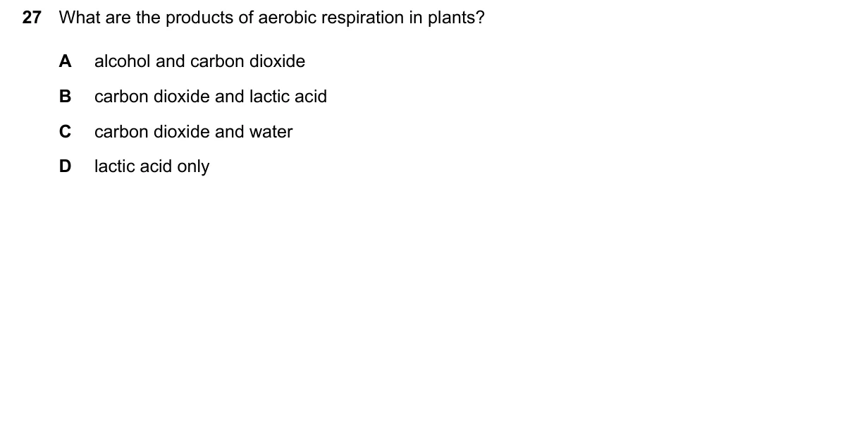 Question 27, June 2024, 0610 Paper 13