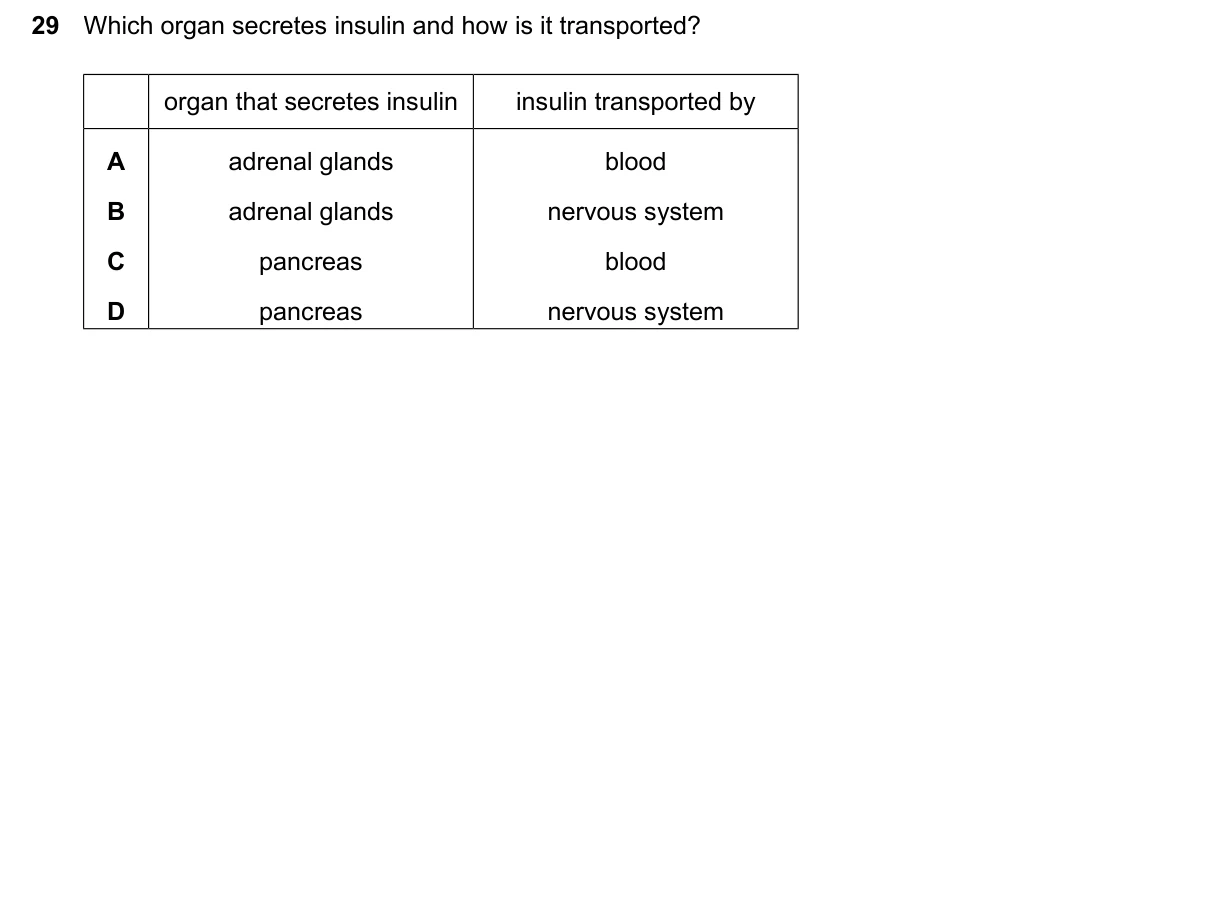 Question 29, June 2024, 0610 Paper 13