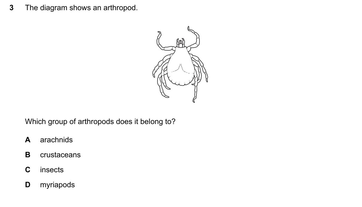 Question 3, June 2024, 0610 Paper 13