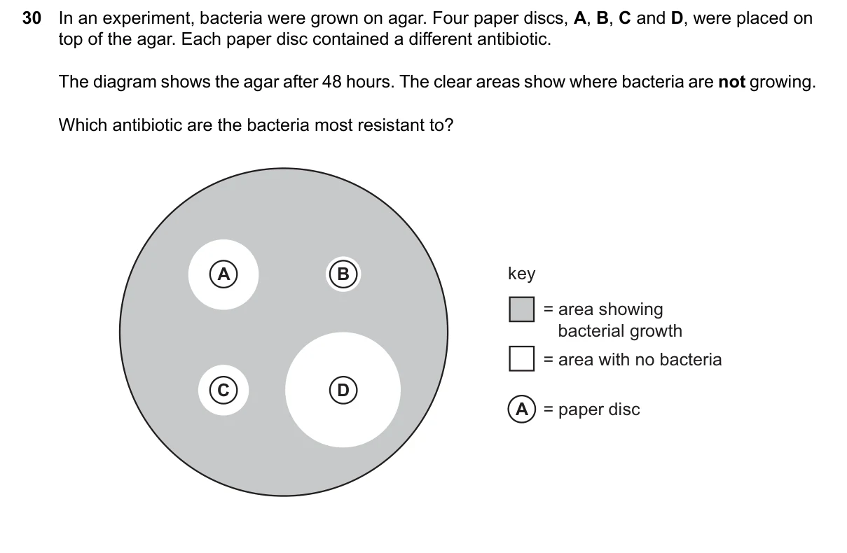 Question 30, June 2024, 0610 Paper 13