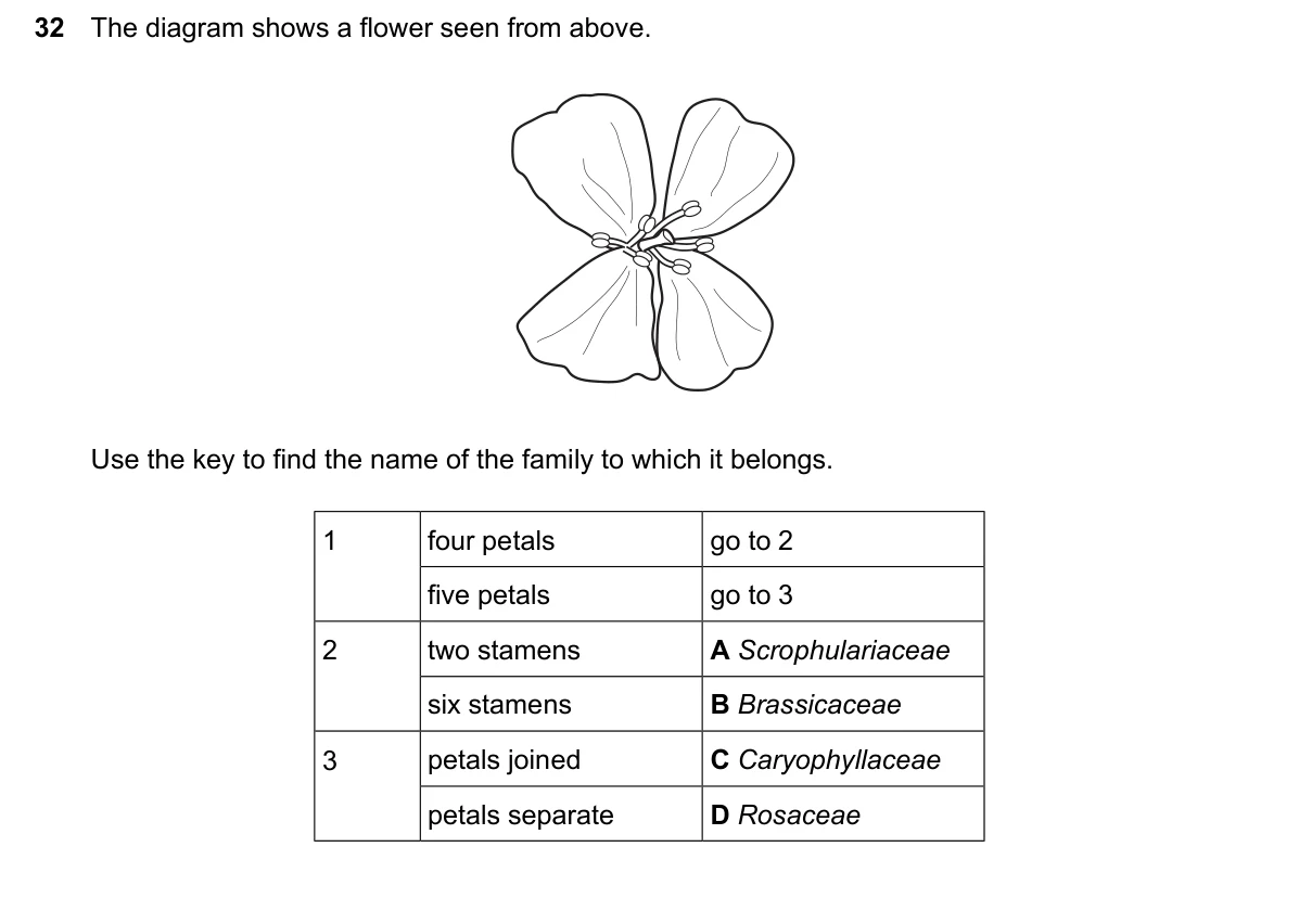 Question 32, June 2024, 0610 Paper 13