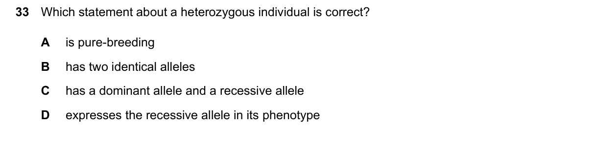 Question 33, June 2024, 0610 Paper 13