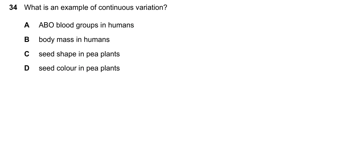 Question 34, June 2024, 0610 Paper 13