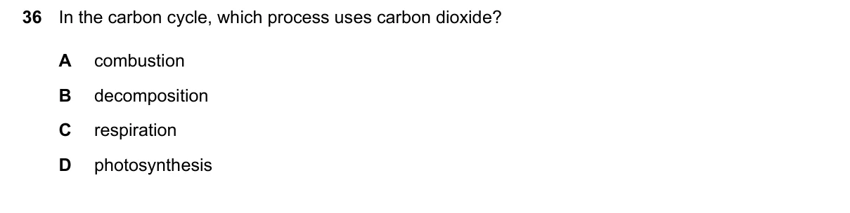 Question 36, June 2024, 0610 Paper 13
