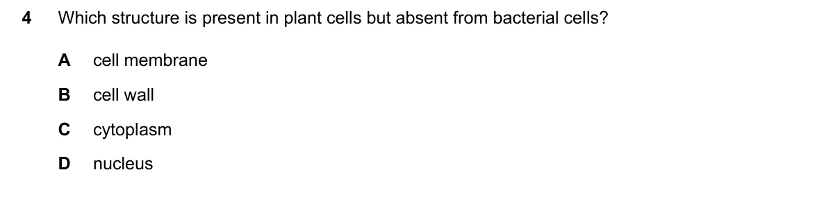 Question 4, June 2024, 0610 Paper 13