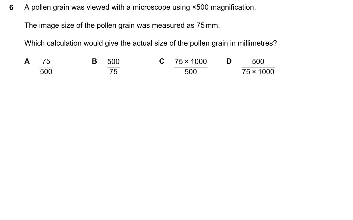 Question 6, June 2024, 0610 Paper 13
