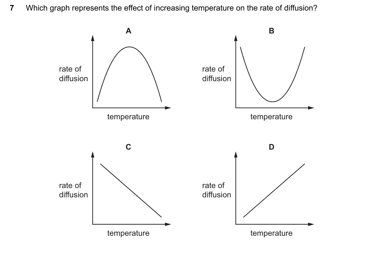 Question 7, June 2024, 0610 Paper 13