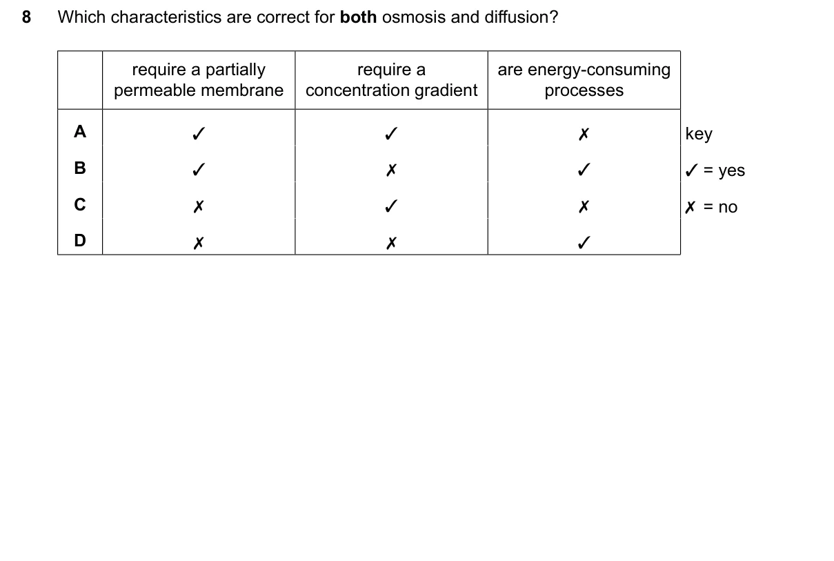 Question 8, June 2024, 0610 Paper 13