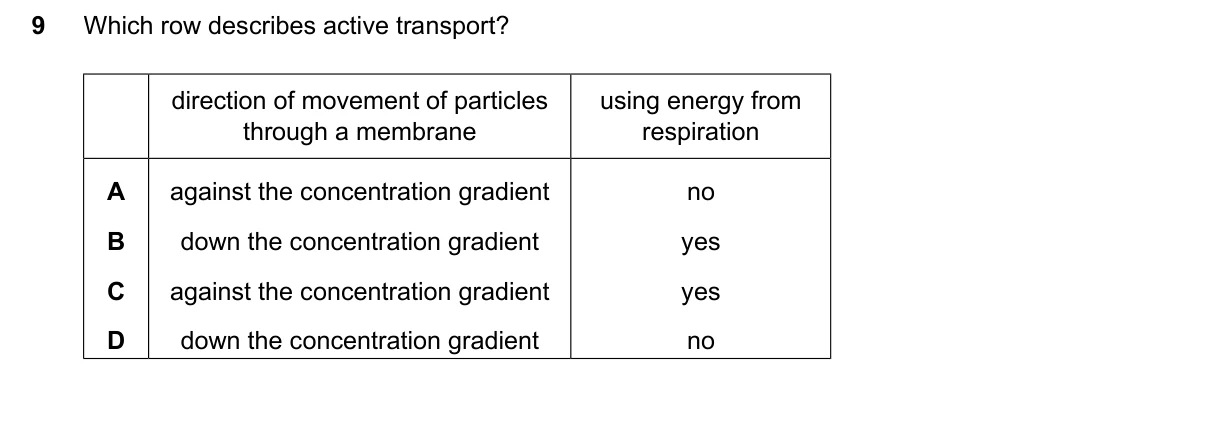 Question 9, June 2024, 0610 Paper 13
