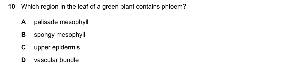 Question 10, June 2024, 0610 Paper 23
